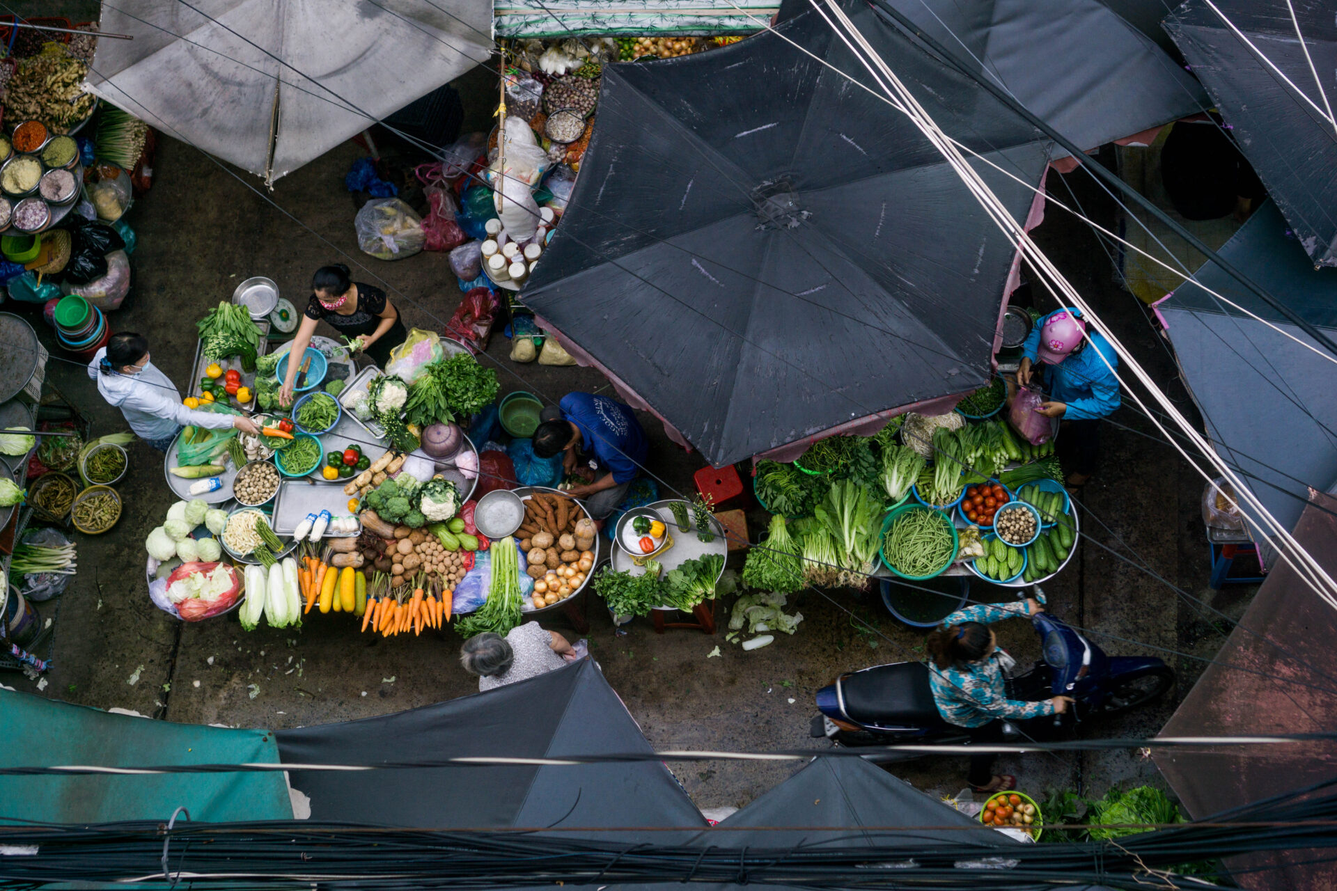 Saigon's Last Mekong Countryside: Escape to the Hidden Island - Image 21