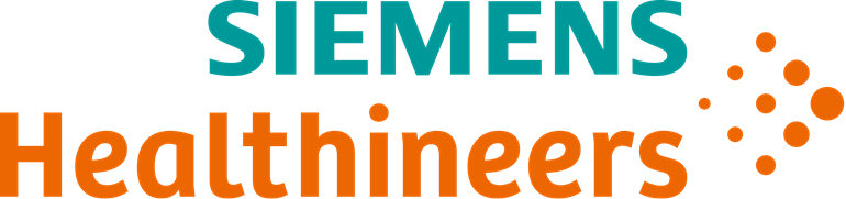 siemens team building ho chi minh