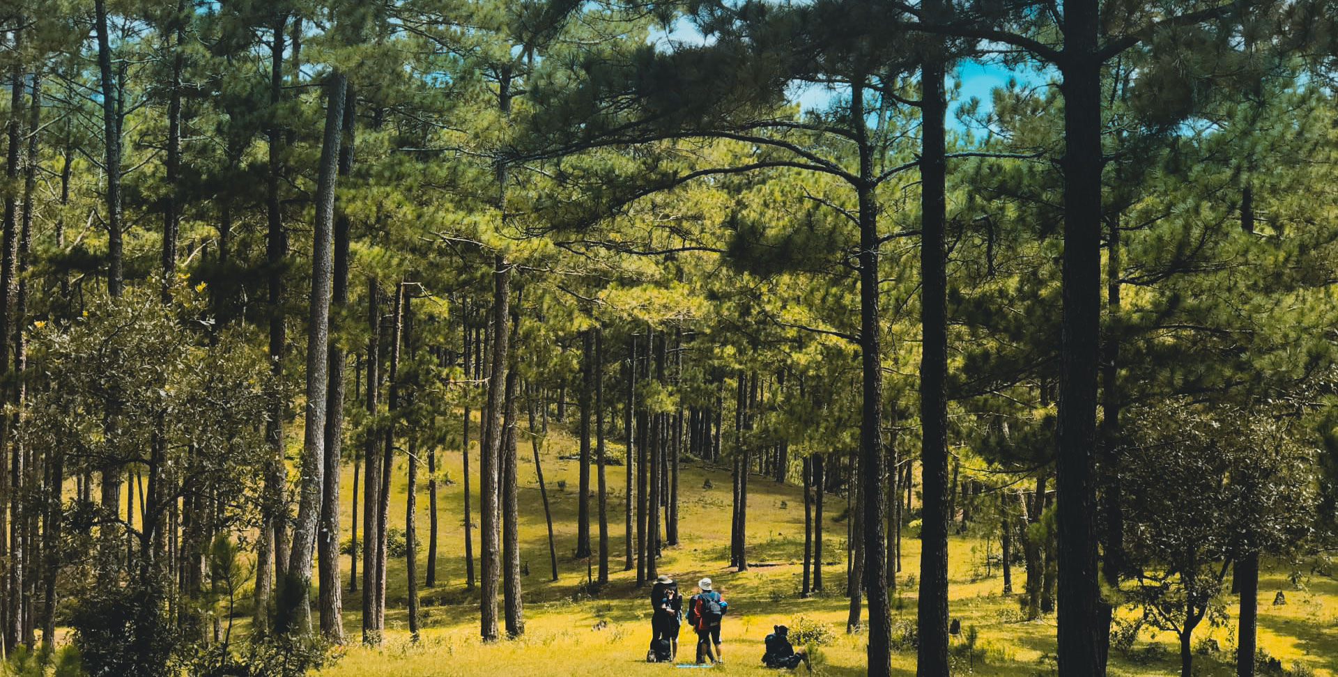 Dalat team building city