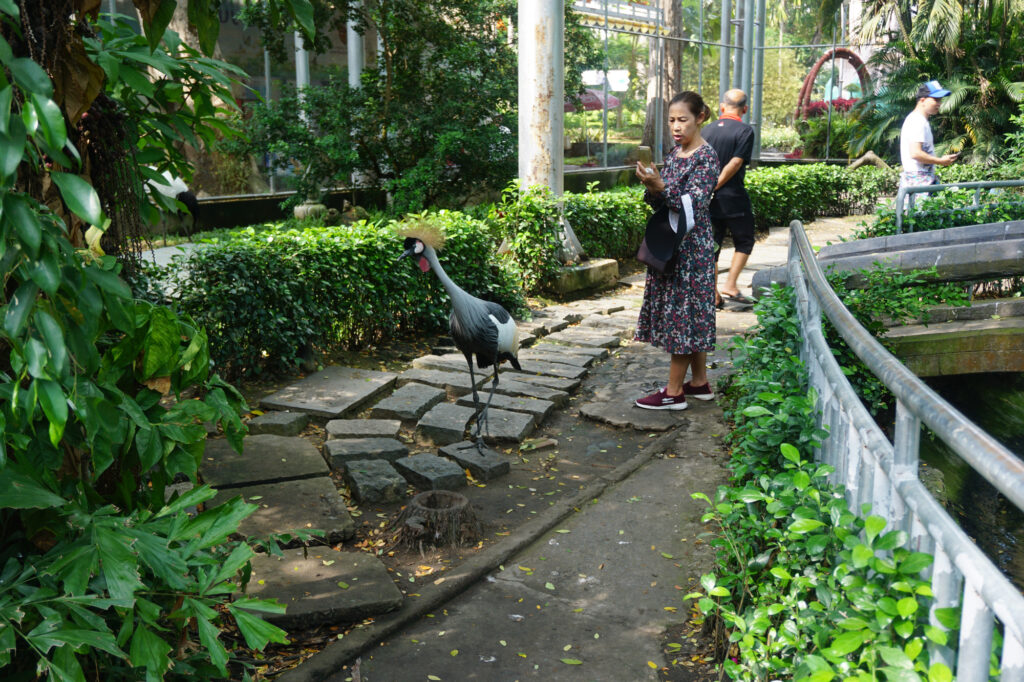 outdoor activity ho chi minh cycling tour