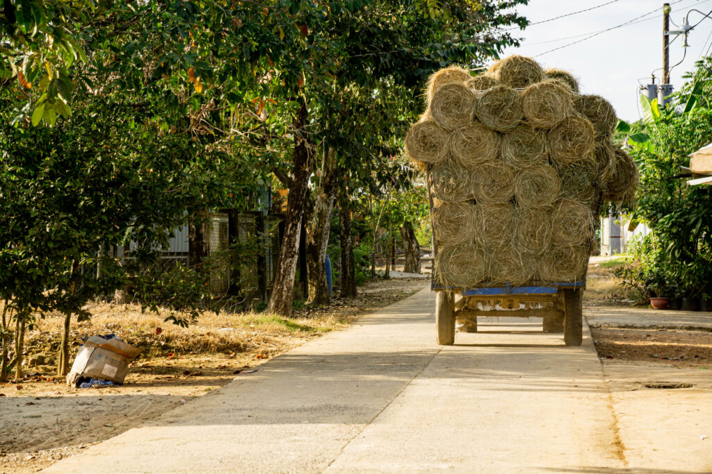 Talai Village explore Nam Cat Tien