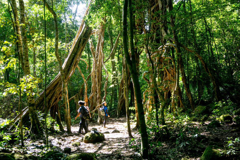 guide to Nam Cat Tien national park
