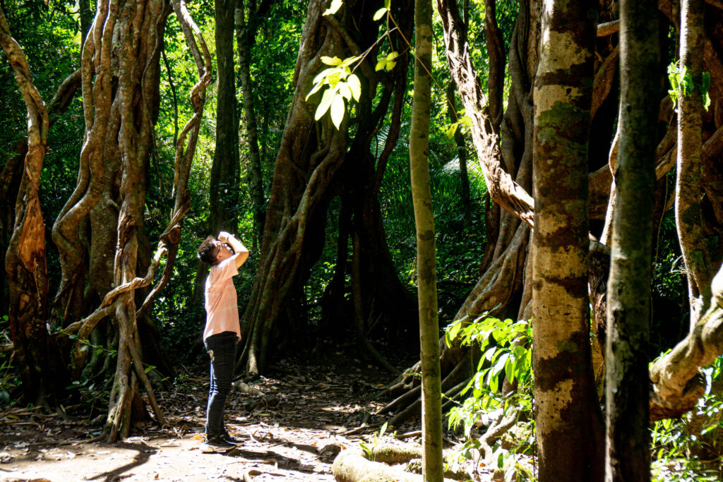 Birds photography Nam Cat Tien national park
