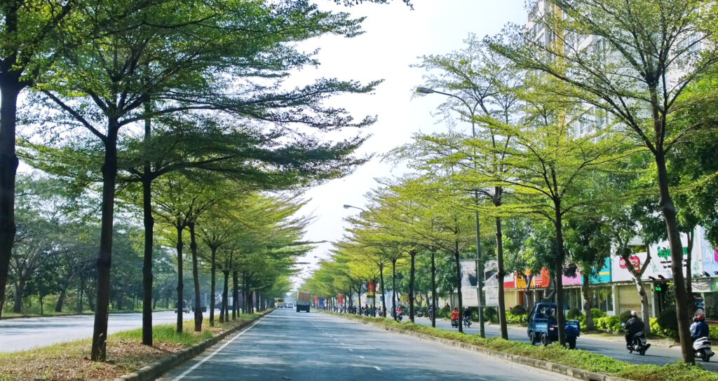 best cycling route ho chi minh city