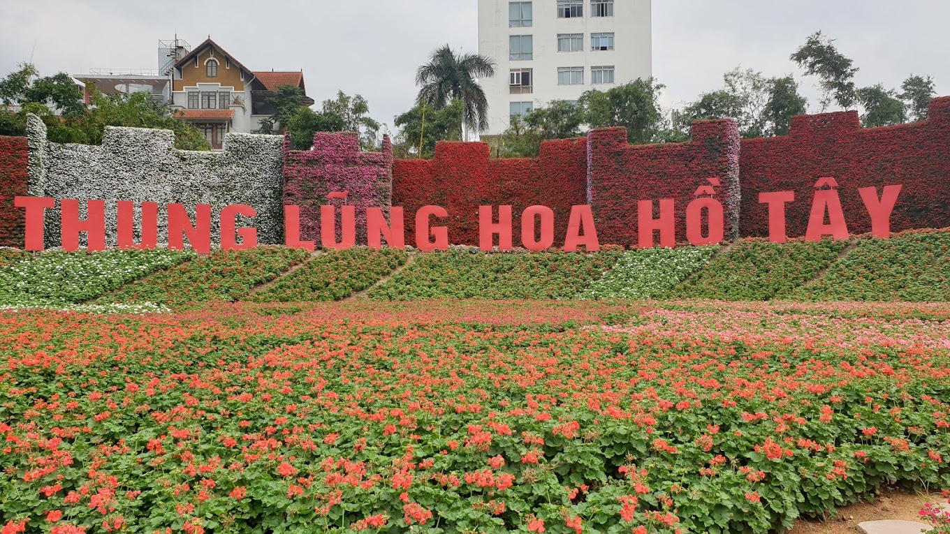 flower west lake hanoi 