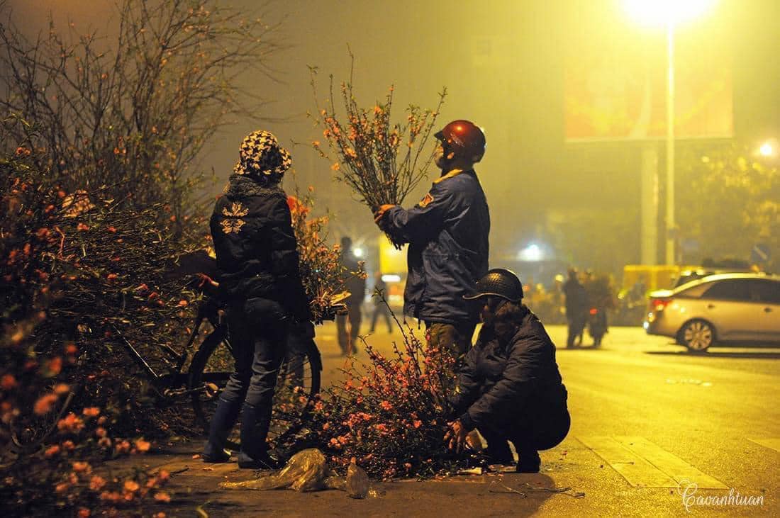 quang ba flower market night life