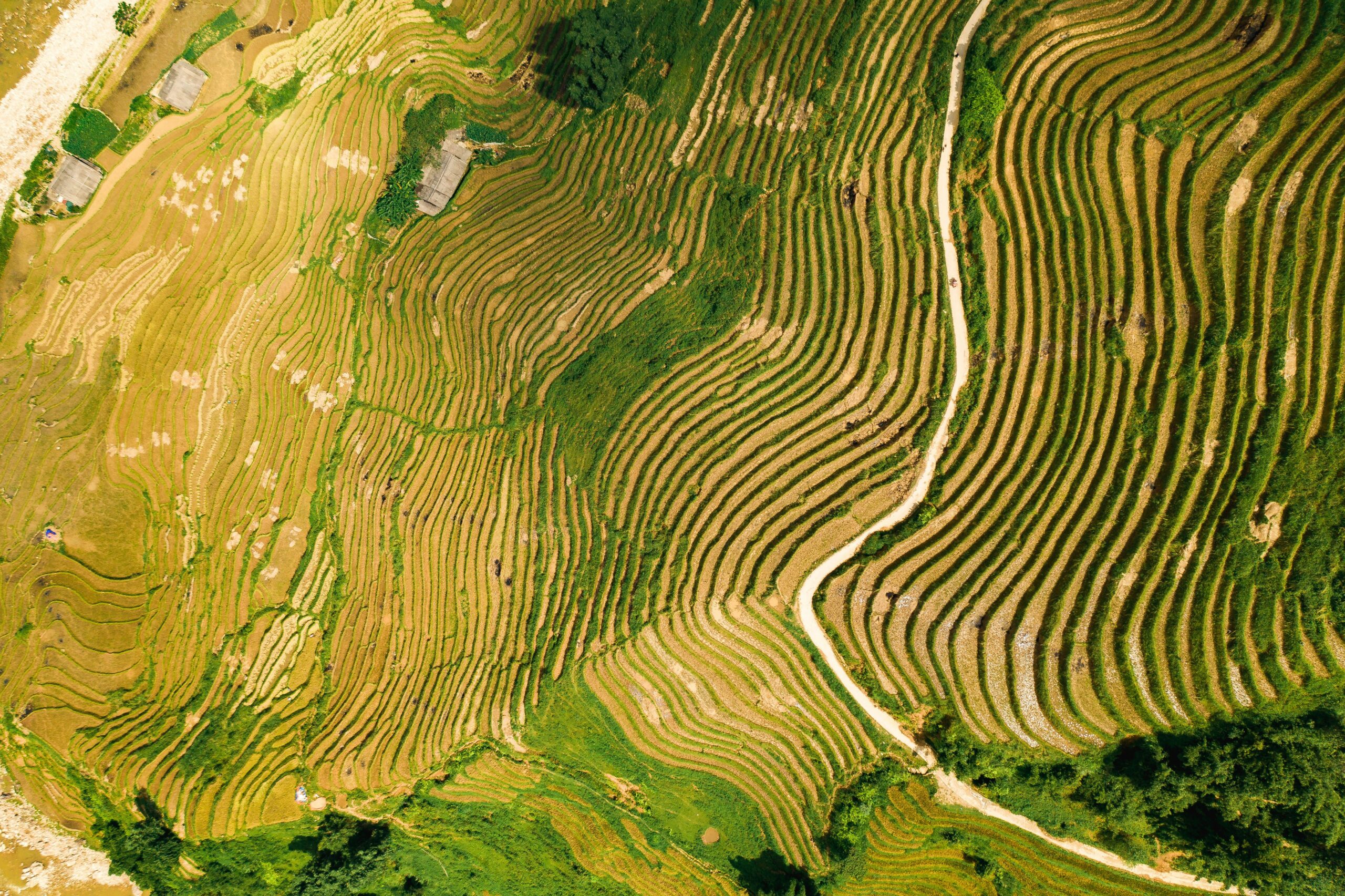 sapa trekking route