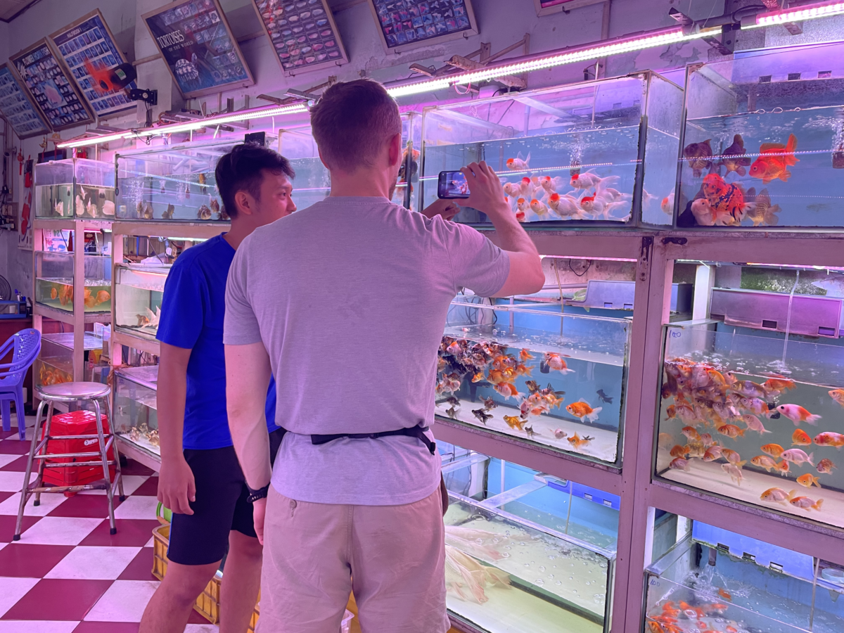things to do in ho chi minh city