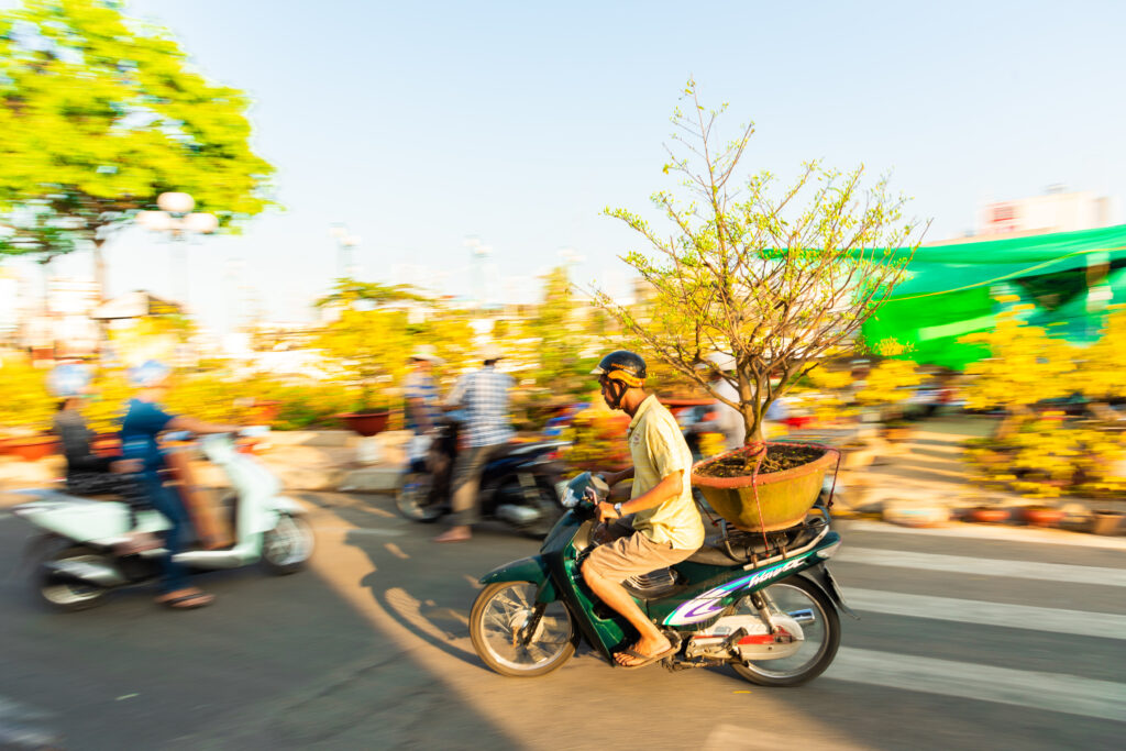 Vietnamese culture