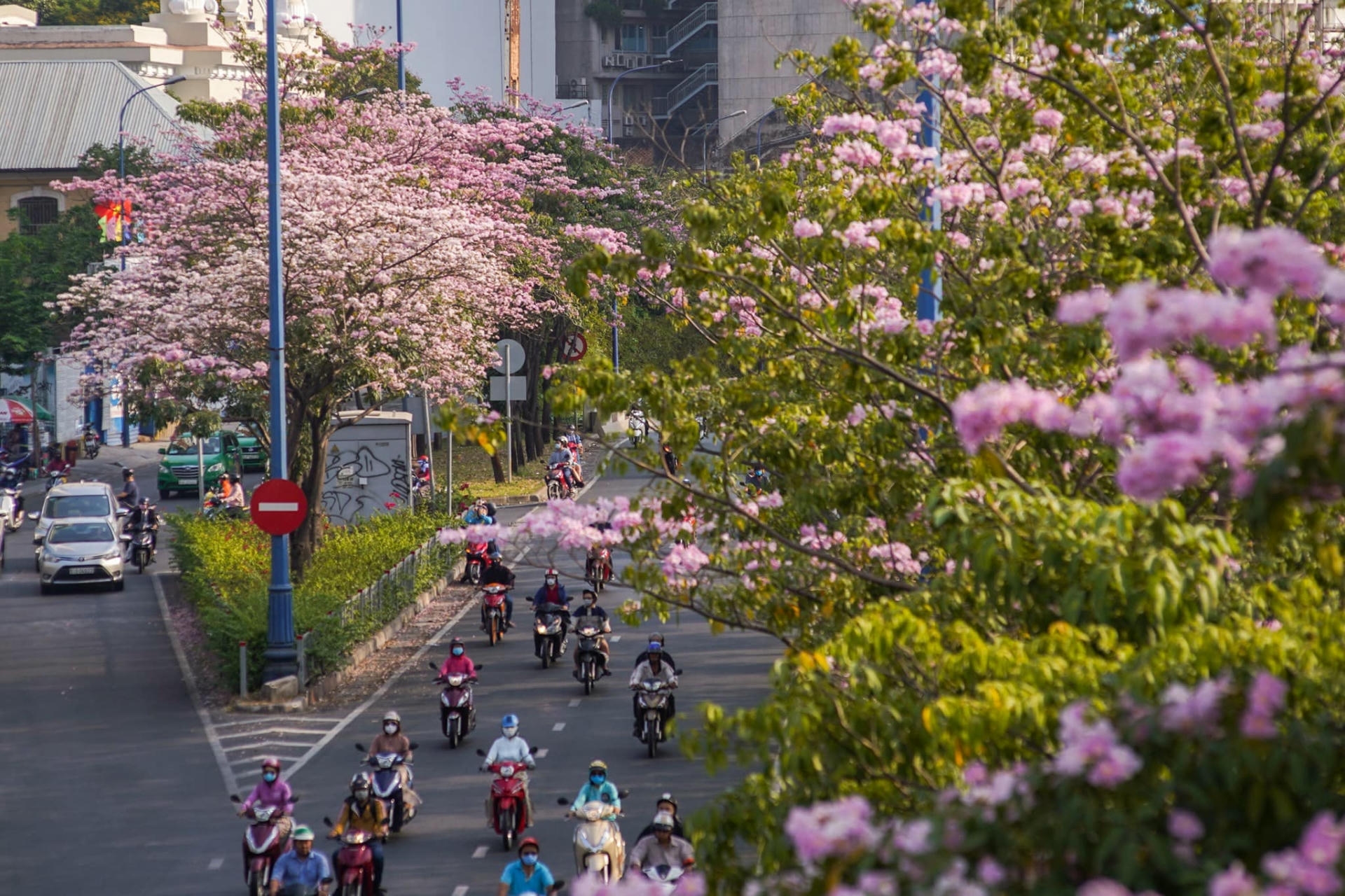 best time to visit ho chi minh city