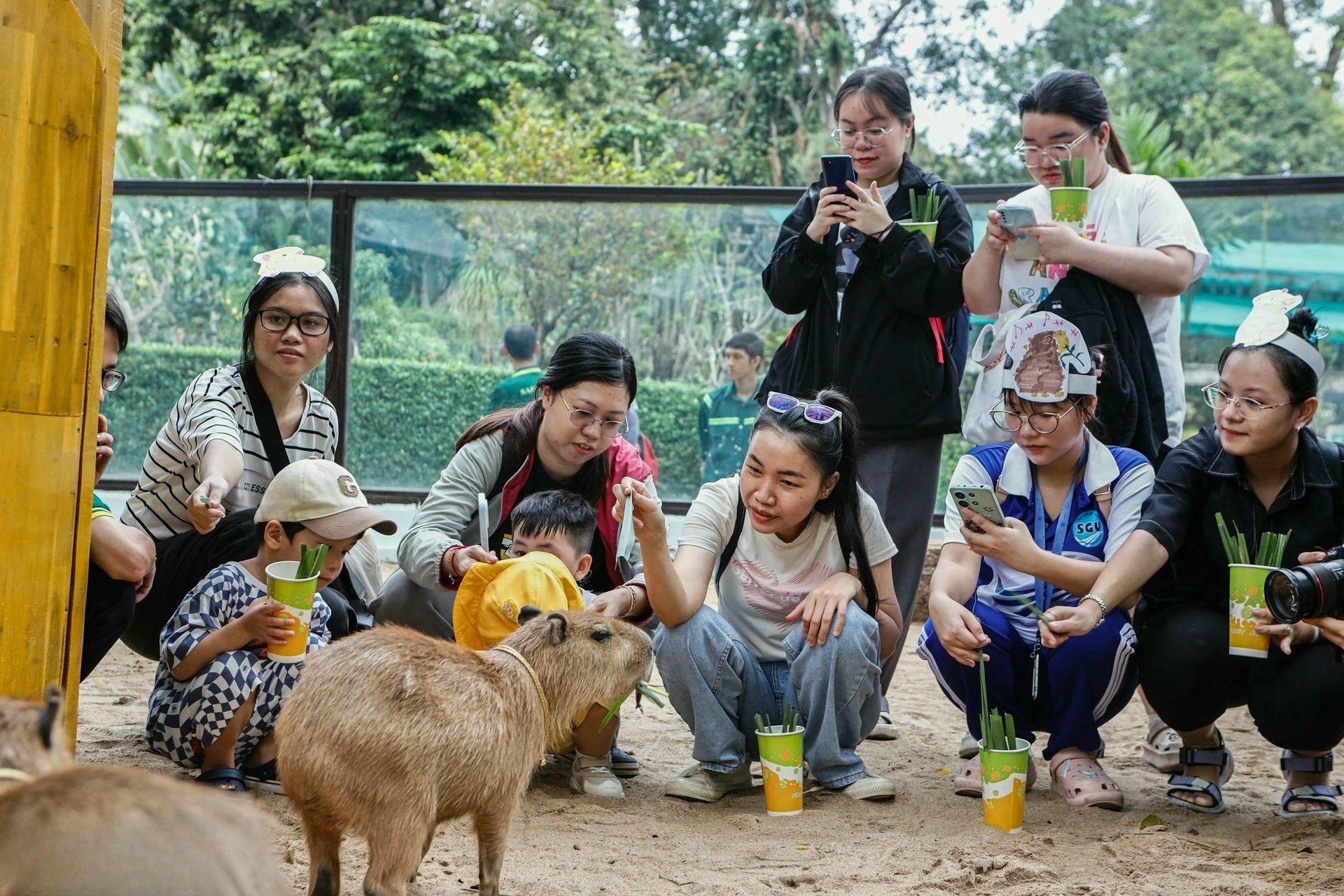 best time to visit ho chi minh