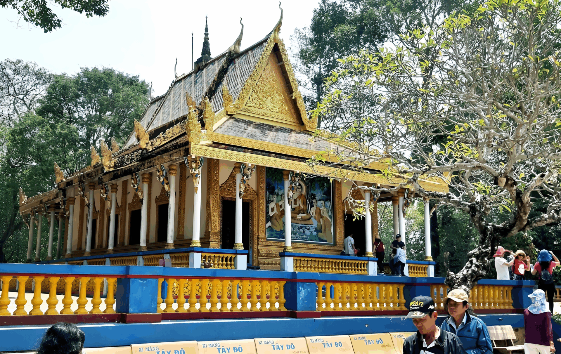 Things to do in Southern Vietnam