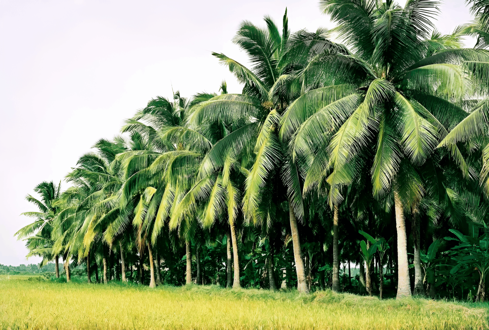 Things to do in Southern Vietnam
