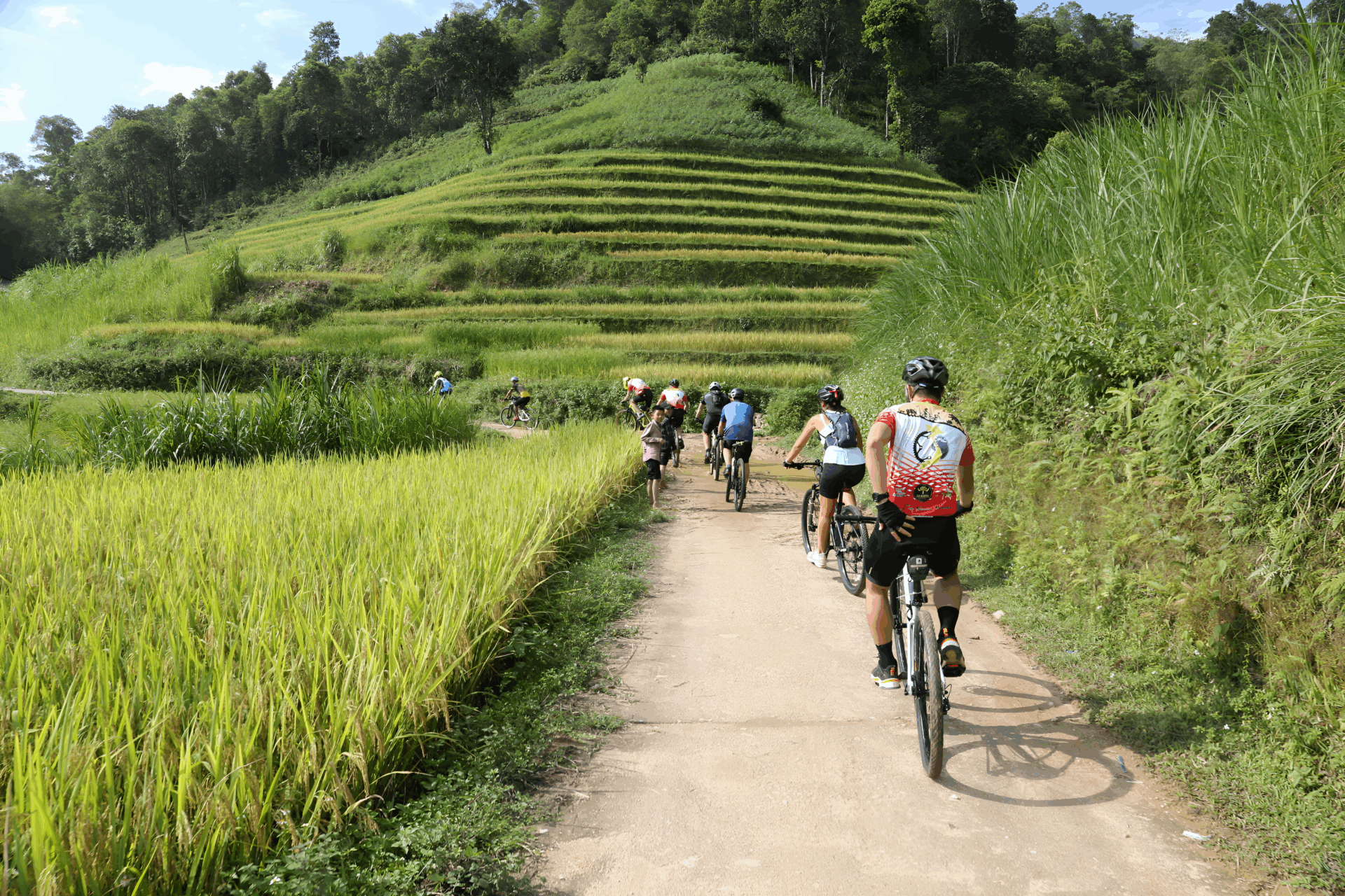 Vietnam Cycling Tours